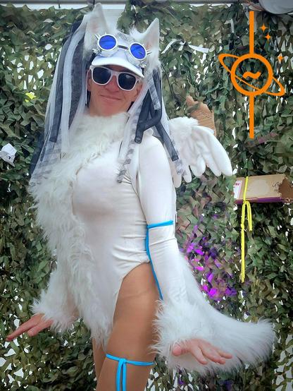 Image attached toot