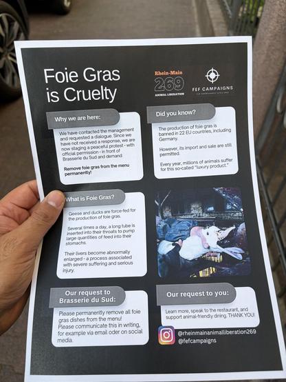 A hand holds a flyer protesting foie gras, highlighting its production cruelty. It includes sections about the treatment of geese and ducks, a request to a restaurant to remove foie gras from their menu, and social media contact information for further engagement. The flyer