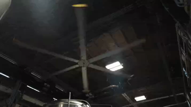 Animated gif of the fan moving - regular speed and then a bit in slow motion