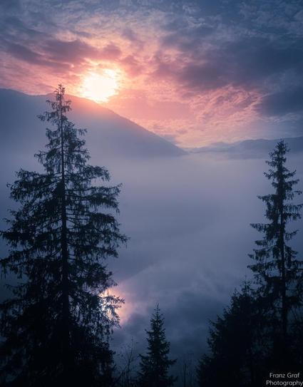 A serene sunrise over misty mountains, with the sun breaking through soft, layered clouds. Tall, dark evergreen trees frame the scene, their silhouettes contrasting against the pastel hues of pink, orange, and blue in the sky. The mist blankets the valley below, creating a dreamy, tranquil atmosphere.