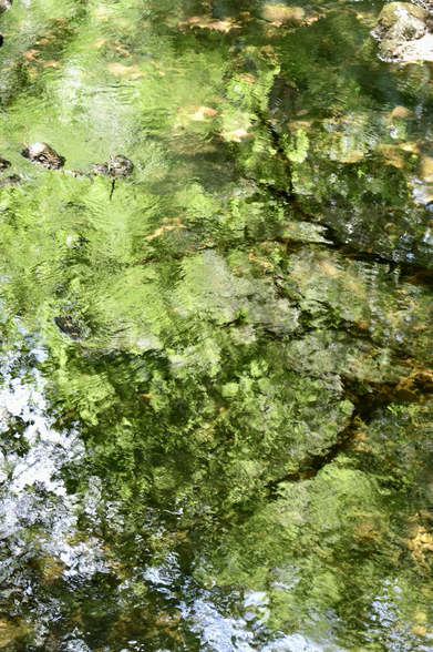 Walkham river reflections