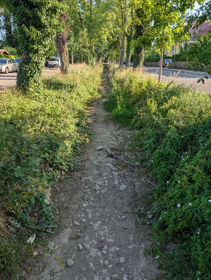 A dry, rocky ditch or stream bed between a grassy strip overgrown with vegetation and trees along a residential street in bright sunlight.