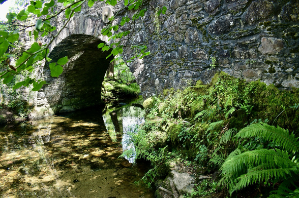 stone bridge over a stream with moss and ferns at it’s base