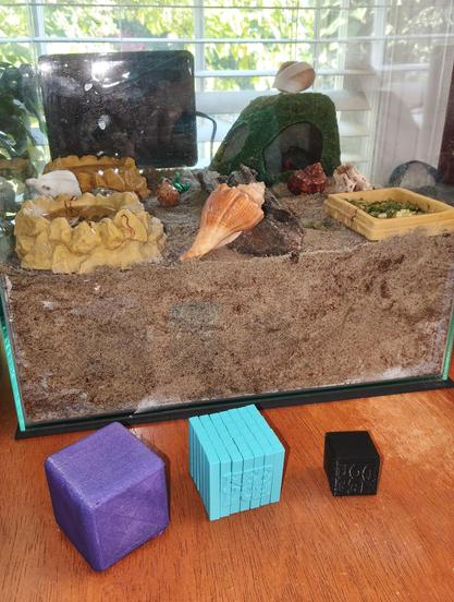 Three 3D printed cubes. Hermit crab terrarium. Crabs are hiding