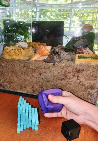 Three 3D printed cubes in different positions with me squeezing one. Hermit crab terrarium. Crabs are hiding