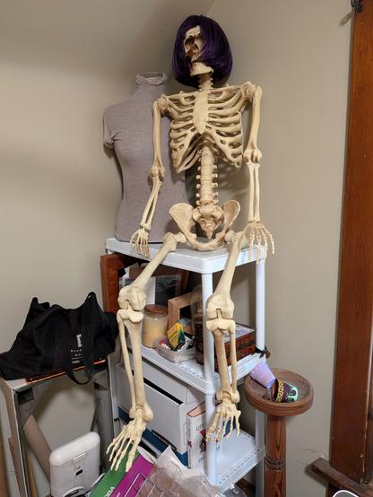 A skeleton with a purple bob wig sitting on a shelf. It's naked!
