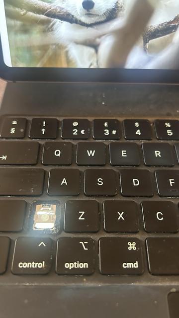 A close-up image of a laptop keyboard showing a missing key near the center, with some dirt visible on the keys. The screen in the background displays a blurred image of a fox.
