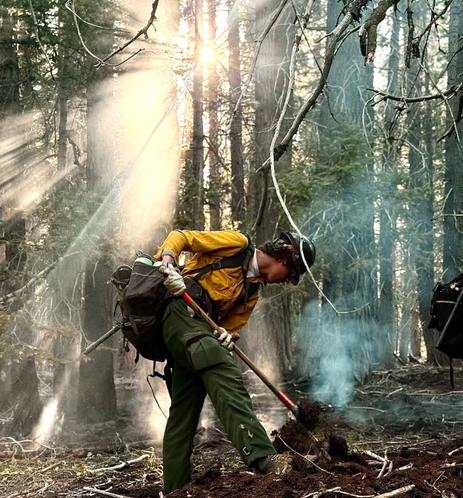 A wildland firefighter working in a smokey forest.