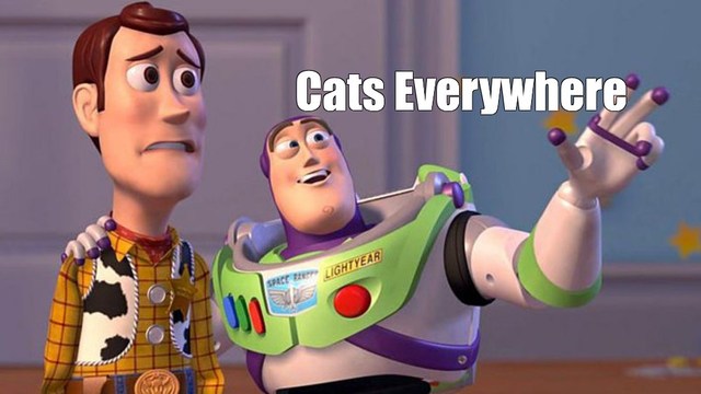 Buzz Lightyear with Woody from Toy Story - Buzz is pointing off camera and saying "cats everywhere"