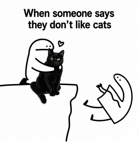 This meme humorously shows a person aggressively pushing another person off a ledge because they said they don't like cats, prioritizing the black cat's comfort and feelings above all else.
The text reads "When someone says they don't like cats".A stick-figure character is tenderly hugging and protecting a calm black cat.
Another character is being shoved off the edge headfirst for expressing a dislike for felines.