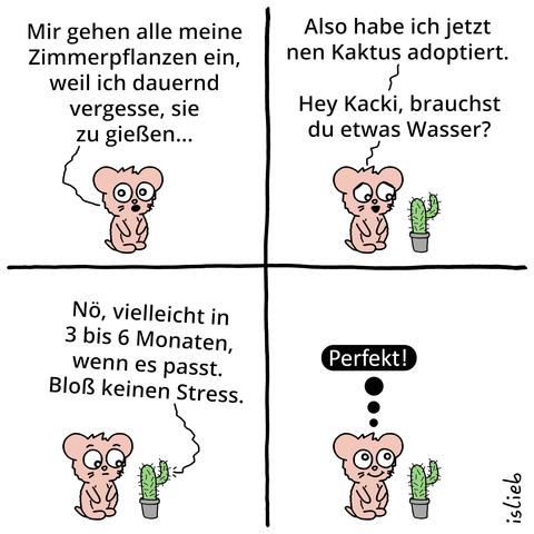 Ein Comic mit vier Bildern, in dem eine kleine Maus mit einem Kaktus spricht.

Maus: „Mir gehen alle meine Zimmerpflanzen ein, weil ich dauernd vergesse, sie zu gießen... Also habe ich jetzt nen Kaktus adoptiert. Hey Kacki, brauchst du etwas Wasser?“

Kaktus: „Nö, vielleicht in 3 bis 6 Monaten, wenn es passt. Bloß keinen Stress.“

Maus (denkt): „Perfekt!“
