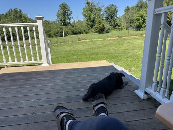 A first person perspective photo showing my feet wearing socks and sandals because I’m cool like that. Beyond them is a black dog flopped on the deck in the shade of our house and the green grass beyond