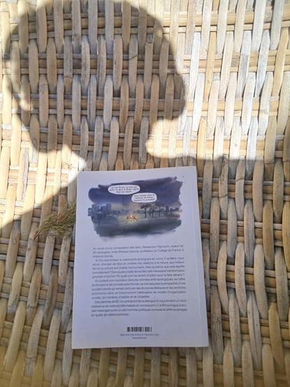 Le dos de la couverture de "Etnographies des mondes à venir " sur un hamac en osier. Et l'ombre de ma tête.