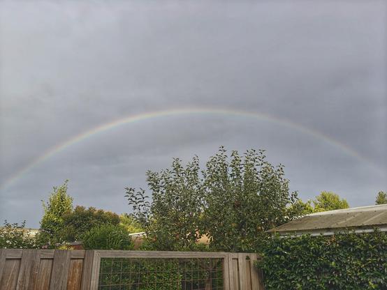 Een regenboog met op de voorgrond een schutting, appelboom en wat ander groens.