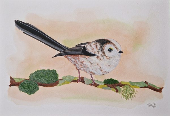 Watercolour and gouache painting of a long tailed tit on a moss and lichen covered branch