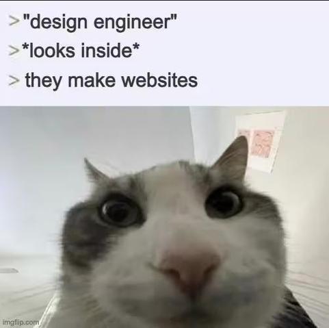 photo of a cat peering into the camera at a funny angle captioned, line one: "design engineer" in quotes, line two: "looks inside", line three: "they make websites"