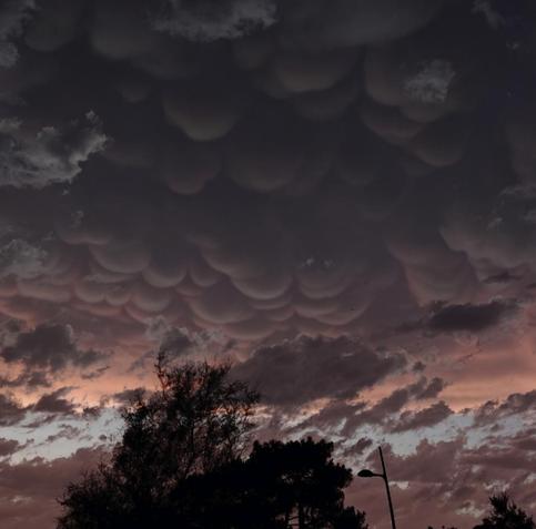 Bulbous sacks hanging off the clouds