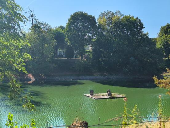 A floating wooden platform sits on green canal water (branch of Rhein) with a small wooden duck house. High green trees line the far bank under a clear blue sky.