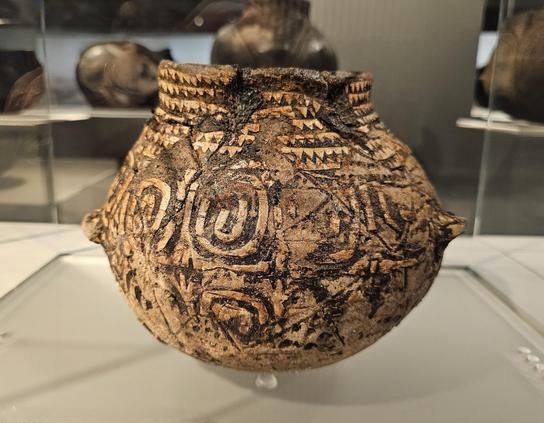 A close-up view of a pottery vessel displayed in a museum case. The pot has a rounded body with a narrow, slightly flared rim and small protruding handles on each side. Its surface is decorated with intricate, geometric patterns including spirals, zigzags, and triangles, rendered in dark pigments over a light brown base.
