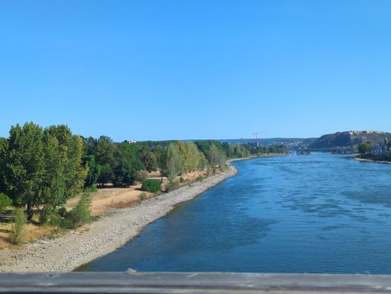A wide-angle, eye-level outdoor shot displays a wide blue river (Rhein) flowing from the center right towards the bottom right under a clear blue sky. On the left, a stony shore stretches along the river, lined with a dense row of green and yellowish trees.
