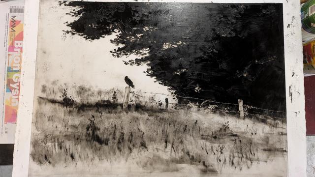 Plaque de plastique transparent posée sur une feuille blanche, recouverte d'un dessin à l'encre noire montrant un rapace perché sur un poteau à l'orée d'une forêt.