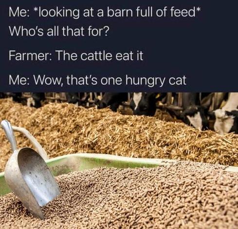 Image of cattle feed

Text:
Me: looking at a barn full of feed
Who's all that for

Farmer: The cattle eat it

Me: Wow, that's one hungry cat