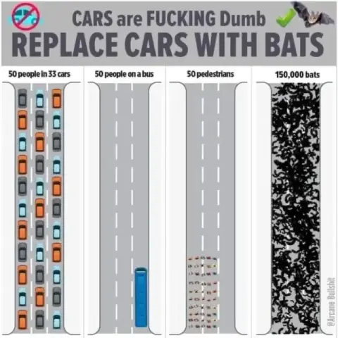 Graphic with the title: Cars are fucking dumb, replace cars with bats.

Shows four equal sections 3-lane motorways explaining the different number of people that fit on each according to vehicle. From left to right: 50 people in 33 cars, 50 people on a bus, 50 pedestrians and last 150,000 bats.