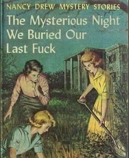 Three women dresses in 40s-50s style- two of them are  digging the ground and one of them looking at the spot  in shock, basically all of them looking like they're straight out of a true crime series. 

Text on the image says "The Mysterious Night We Buried Our Last Fuck"