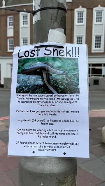 Lost Snek!!

Snek gone, he run away scared by horse on level. He fiendly, he answer to name "Mr Squiggles". He is scared so do not chase him, or use eagle to track him down.

Please check uk garages and outside toilets, maybe he is hid inside.

He quite old (54 years!) so Please no chase him he fright and.

Oh he might be wearing a hat so maybe you won't recognise him, but try and call his name and see if he looks round.

If found please report to wodgers wiggly wildlife wescue or take to vet's if he is upset