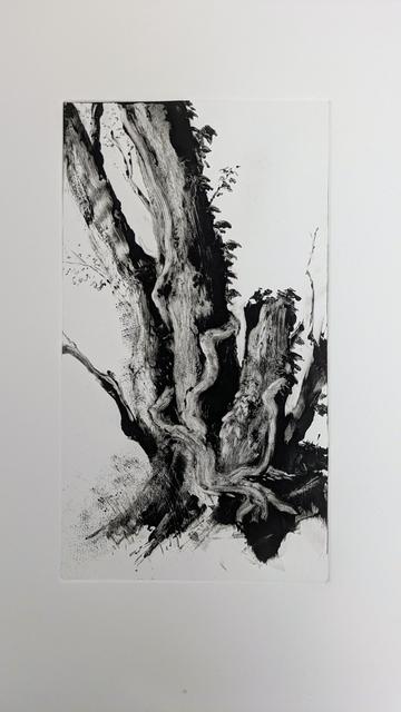Tirage à l'encre noire, format vertical, d'un monotype représentant un vieil arbre.