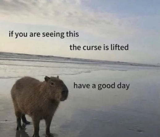 Photo of a capybara at the beach. Text says:

If you are seeing this, the curse is lifted. Have a good day.