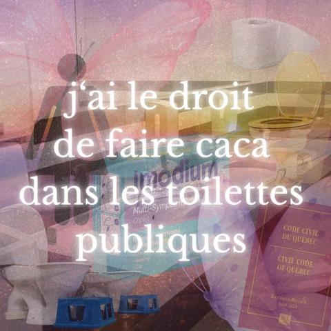 Girly themed meme made from a semi-transparent patch work of toilet paper rolls, a toilet, the "woman toilet" symbol with butterfly wings, Quebec law book, a faucet. It is written "j'ai le droit de faire caca dans les toilettes publiques" which means "I'm allowed to poop in public toilets"