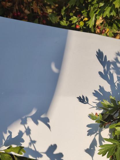 Images of the light going through a hole punched piece of card onto another. You can see the banana shaped crescent.