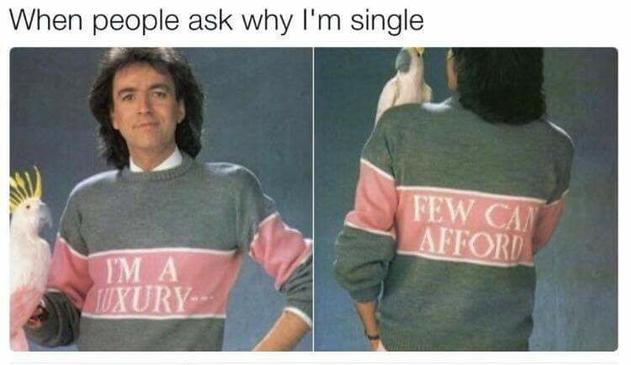 Image titled "When people ask why I'm single". Beneath is a dated image of what appears to be a man with quite fluffy hair, holding a parakeet and wearing a jumper which on the front reads "I'm a luxury..." and on the back reads "few can afford".