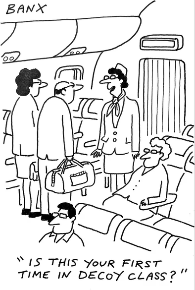 A flight attendant asks a passenger, "Is this your first time in decoy class?". All in black and white, done by Bankx