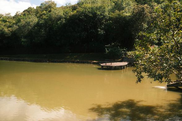 My favorite place in the world: my family’s farm in southeastern Minas Gerais.