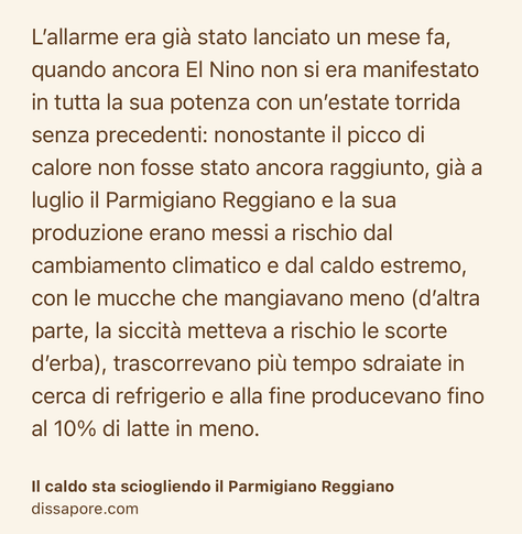 Text Shot: L’allarme era già stato lanciato un mese fa, quando ancora El Nino non si era manifestato in tutta la sua potenza con un’estate torrida senza precedenti: nonostante il picco di calore non fosse stato ancora raggiunto, già a luglio il Parmigiano Reggiano e la sua produzione erano messi a rischio dal cambiamento climatico e dal caldo estremo, con le mucche che mangiavano meno (d’altra parte, la siccità metteva a rischio le scorte d’erba), trascorrevano più tempo sdraiate in cerca di refrigerio e alla fine producevano fino al 10% di latte in meno.