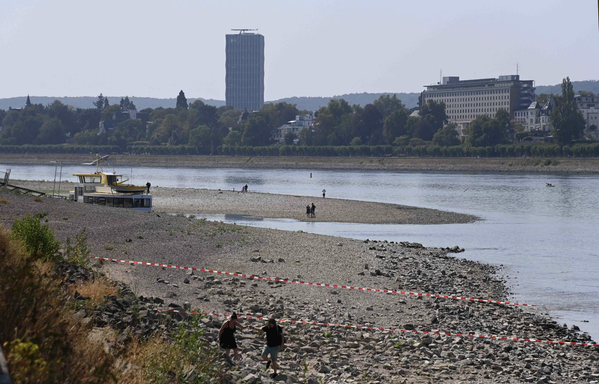 Stark ausgetrockneter Rhein in Bonn. Foto: Boris Hempel
