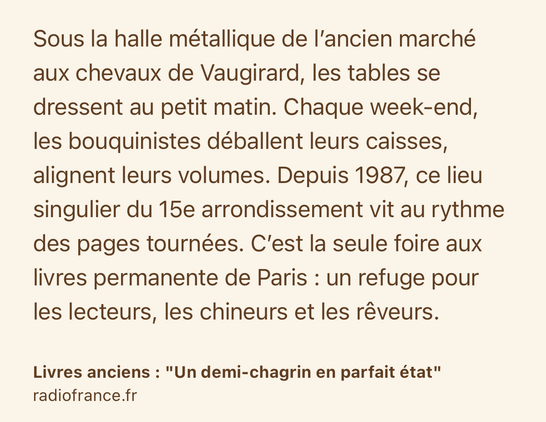 Text Shot: Sous la halle métallique de l’ancien marché aux chevaux de Vaugirard, les tables se dressent au petit matin. Chaque week-end, les bouquinistes déballent leurs caisses, alignent leurs volumes. Depuis 1987, ce lieu singulier du 15e arrondissement vit au rythme des pages tournées. C’est la seule foire aux livres permanente de Paris : un refuge pour les lecteurs, les chineurs et les rêveurs.