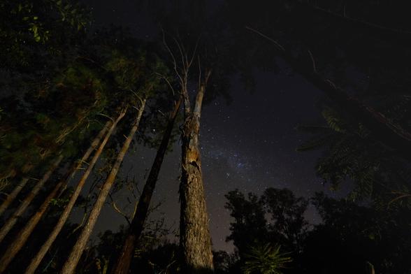 Possibly my favorite photo: an astrophotograph taken at Hotel Fazenda Ramon, in southeastern Minas Gerais, Brazil, around 2018.
I remember how much work it took to get just one photo that made everything worth it. I was learning about aperture, and also learning to be patient enough to stay completely still for long stretches of the night.