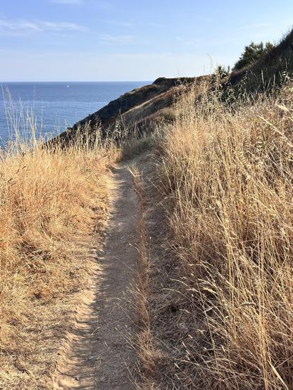 Chemin côtier entre la pointe de Kergolay et celle du Skeul. Le passage effréné de marcheurs n’arrange pas nos chemins et accélère l’érosion sur certains tronçons. Toujours surpris de croiser des groupes qui marchent comme des damnés avec la boite à son à plein tubes. Le rythme du ressac de l’océan, les cris des oiseaux est assurément trop bruyant :-)