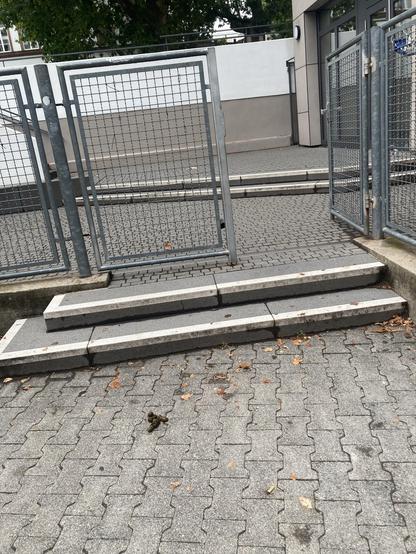 Hundekot, hinterlassen und nicht weggeräumt genau vor dem Eingang zur Grundschule.