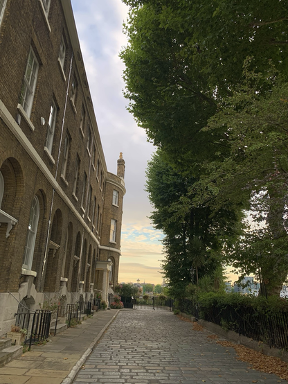 River warehouses and some tall lime trees and a muted sunset