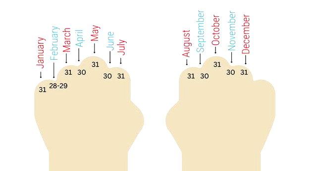Hand technic, 31 days on each eminence, 30 days on each hole.
