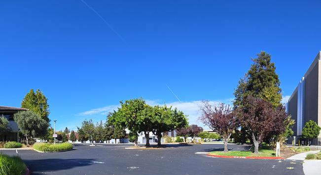 image of trees and landscaping around industrial buildings viewed from Coronado Drive in Santa Clara, adjacent to the Synertek Superfund site.
