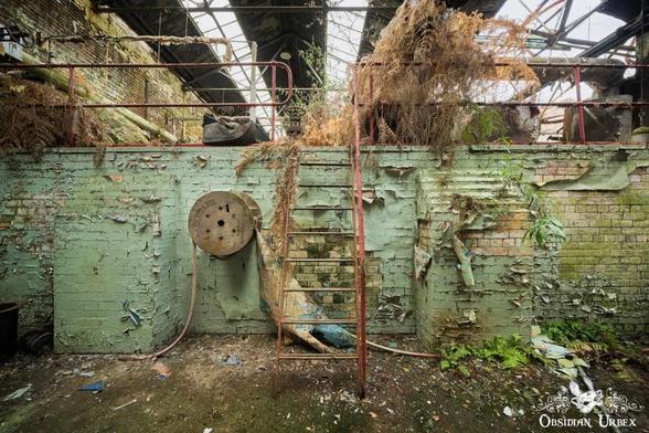 An abandoned factory interior features a brick wall with peeling green paint and a rusty ladder
