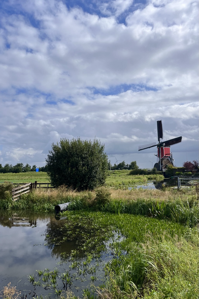 Molen De Rooie Wip