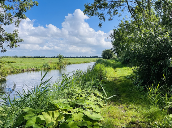 Mooi langs het water bij Alphen