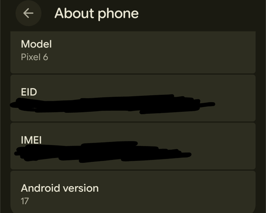 My phone’s settings info showing that it’s a Pixel 6 running Android 17.