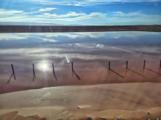 view of SF Bay salt ponds
